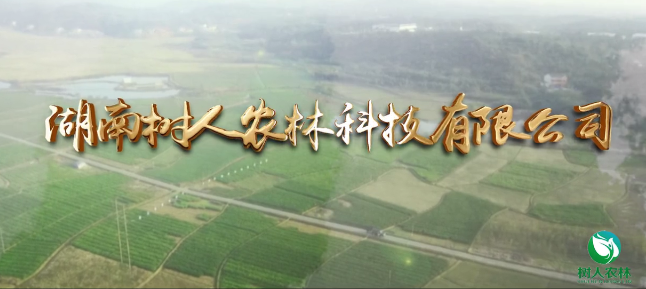 樹(shù)人(rén)公司簡介