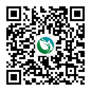 網站(zhàn)公告