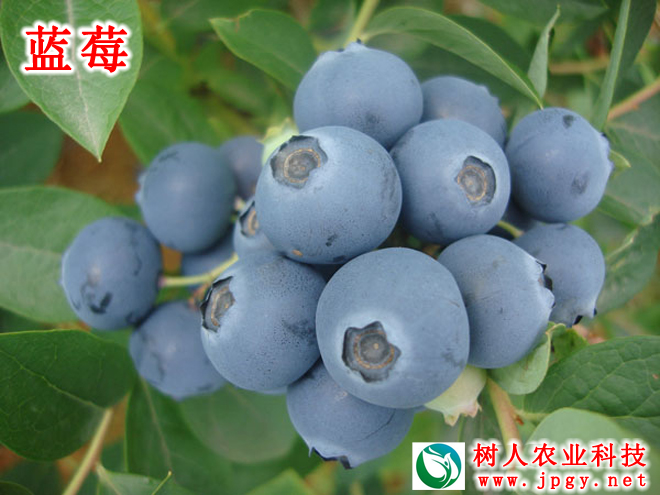 政策咨詢