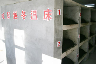 政策咨詢 政策咨詢