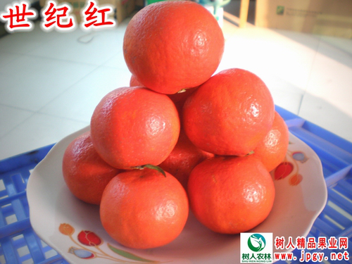 特種栽培技(jì)術(shù)