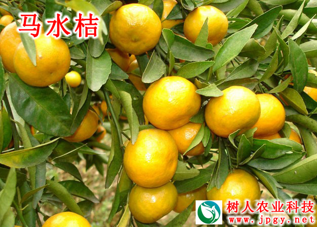 特種栽培技(jì)術(shù) 特種栽培技(jì)術(shù)