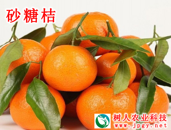 特種栽培技(jì)術(shù) 特種栽培技(jì)術(shù)