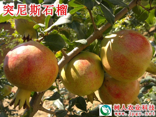 常德市(shì)萬路(lù)達物(wù)流股份有(yǒu)限公司,常德危險品運輸服務,普貨運輸服務,物(wù)流生(shēng)活服務哪裡(lǐ)好(hǎo) 常德市(shì)萬路(lù)達物(wù)流股份有(yǒu)限公司,常德危險品運輸服務,普貨運輸服務,物(wù)流生(shēng)活服務哪裡(lǐ)好(hǎo)