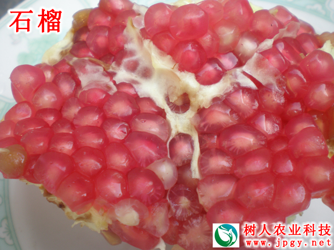 常德市(shì)萬路(lù)達物(wù)流股份有(yǒu)限公司,常德危險品運輸服務,普貨運輸服務,物(wù)流生(shēng)活服務哪裡(lǐ)好(hǎo)
