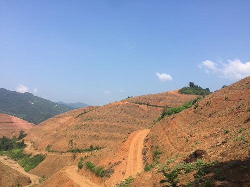 彩色油菜花(huā)的(de)研究與開(kāi)發推廣