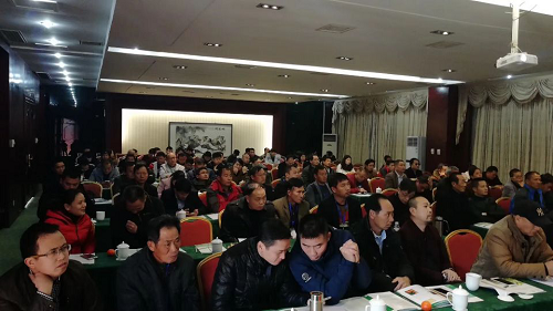 長沙市順世農林科技有限公司,湖(hú)南(nán)柑橘品種銷售,中國(guó)果樹(shù)網,常綠(lǜ)果樹(shù)類哪裡(lǐ)好(hǎo)