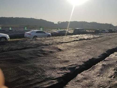 長沙市順世農林科技有限公司,湖(hú)南(nán)柑橘品種銷售,中國(guó)果樹(shù)網,常綠(lǜ)果樹(shù)類哪裡(lǐ)好(hǎo)