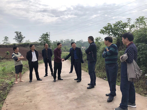 長沙市順世農林科技有限公司,湖(hú)南(nán)柑橘品種銷售,中國(guó)果樹(shù)網,常綠(lǜ)果樹(shù)類哪裡(lǐ)好(hǎo)