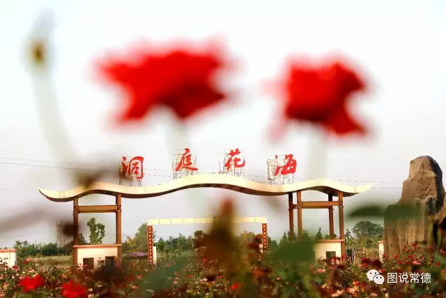 秋花(huā) 就(jiù)算(suàn)跑到(dào)漢壽也(yě)要(yào)親親你(nǐ)