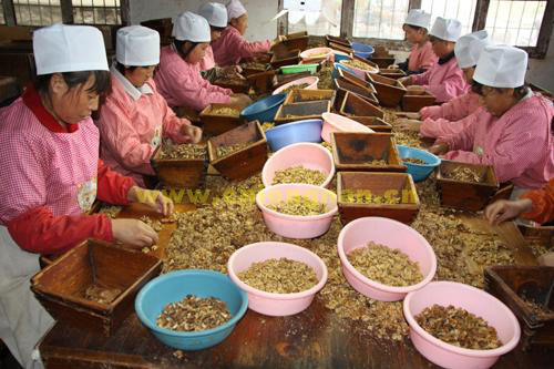 成縣核桃網絡熱(rè)銷 淘寶将開(kāi)“甘肅館”促農(nóng)産品銷售