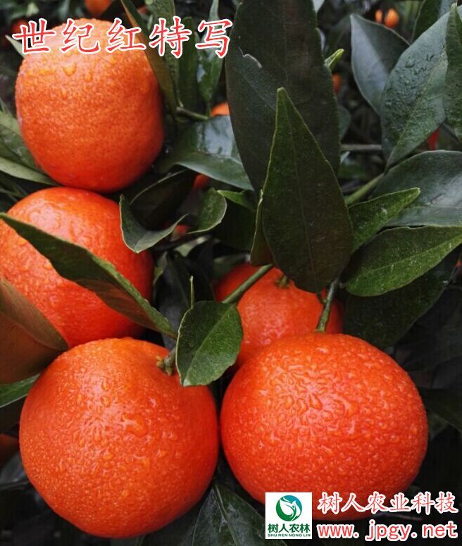 湖(hú)南(nán)省常德亞特農(nóng)公司