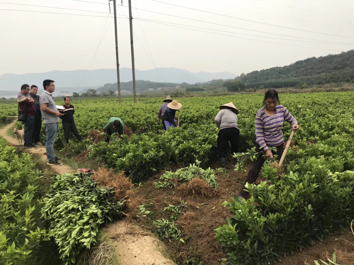 現(xiàn)代農(nóng)業(yè)企業(yè)上(shàng)市(shì)座談會(huì)長(cháng)沙舉行(xíng) 探討(tǎo)上(shàng)市(shì)難點