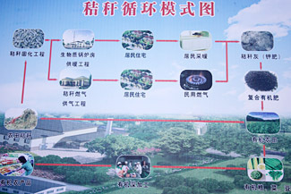 現(xiàn)代循環農(nóng)業(yè)産生(shēng)巨大(dà)裂變效應