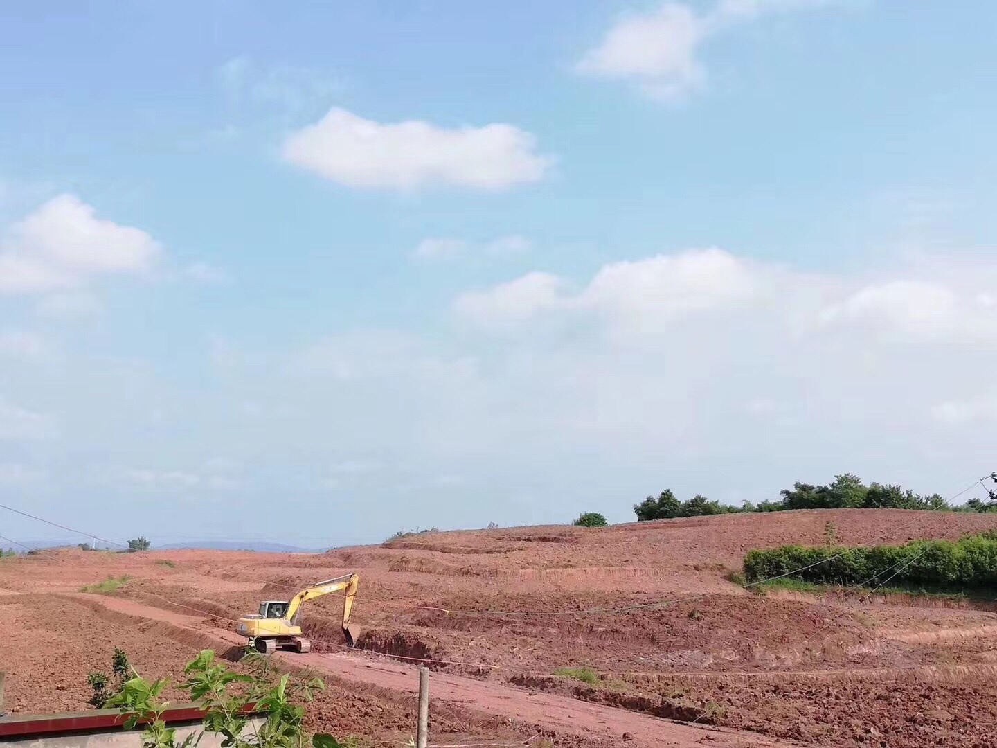 長沙市順世農林科技有限公司,湖(hú)南(nán)柑橘品種銷售,中國(guó)果樹(shù)網,常綠(lǜ)果樹(shù)類哪裡(lǐ)好(hǎo)