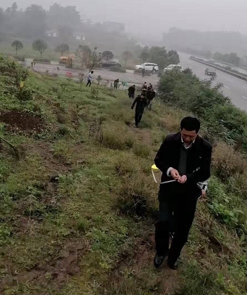 長沙市順世農林科技有限公司,湖(hú)南(nán)柑橘品種銷售,中國(guó)果樹(shù)網,常綠(lǜ)果樹(shù)類哪裡(lǐ)好(hǎo)