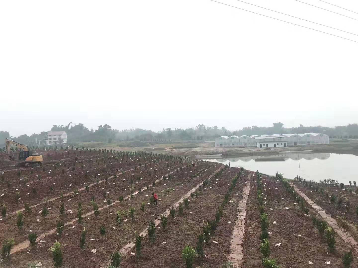 隆昌樹(shù)人(rén)公司優質柑橘産業(yè)基地(dì)順利通(tōng)過驗收