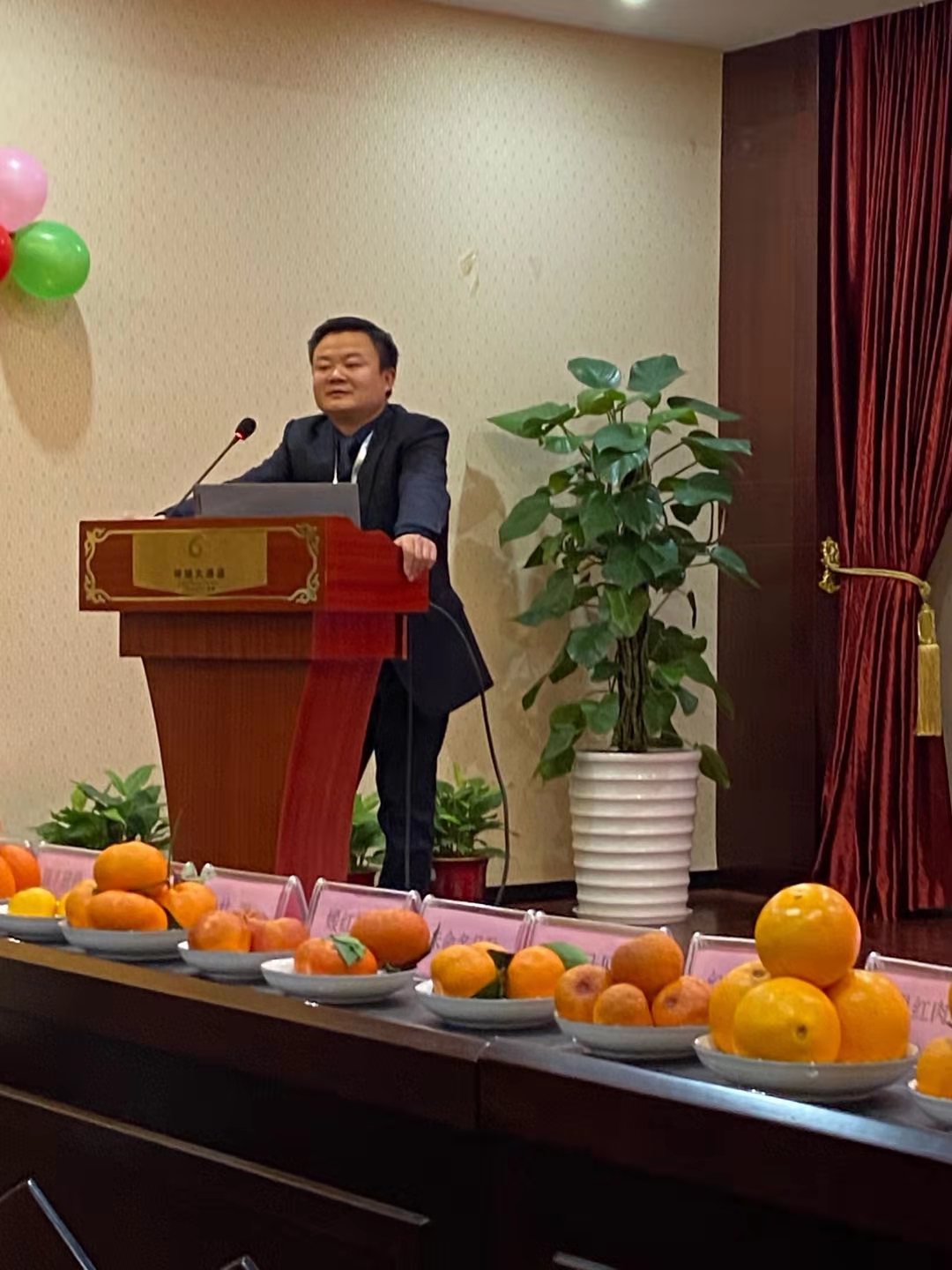 長沙市順世農林科技有限公司,湖(hú)南(nán)柑橘品種銷售,中國(guó)果樹(shù)網,常綠(lǜ)果樹(shù)類哪裡(lǐ)好(hǎo)