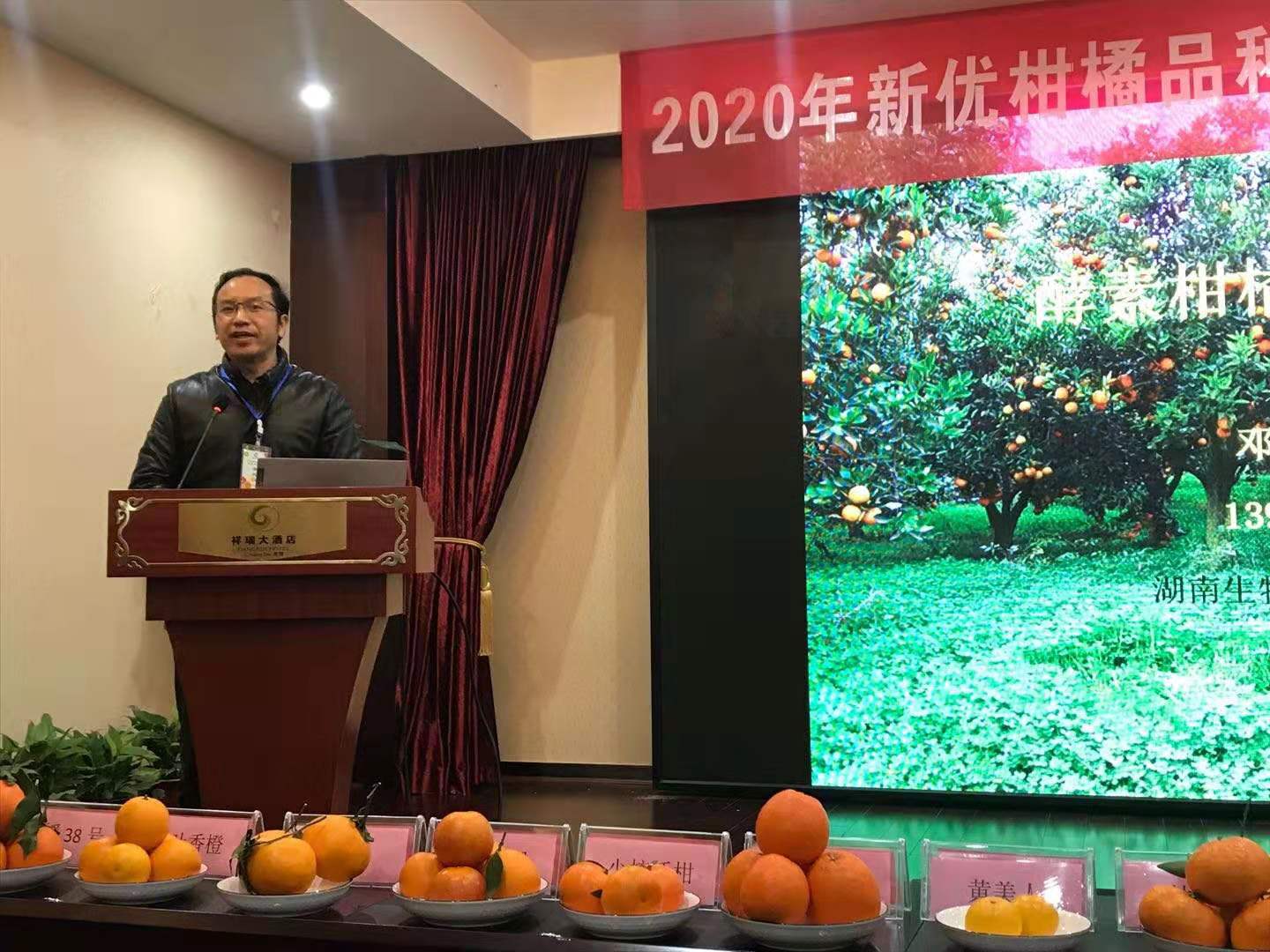 長沙市順世農林科技有限公司,湖(hú)南(nán)柑橘品種銷售,中國(guó)果樹(shù)網,常綠(lǜ)果樹(shù)類哪裡(lǐ)好(hǎo)