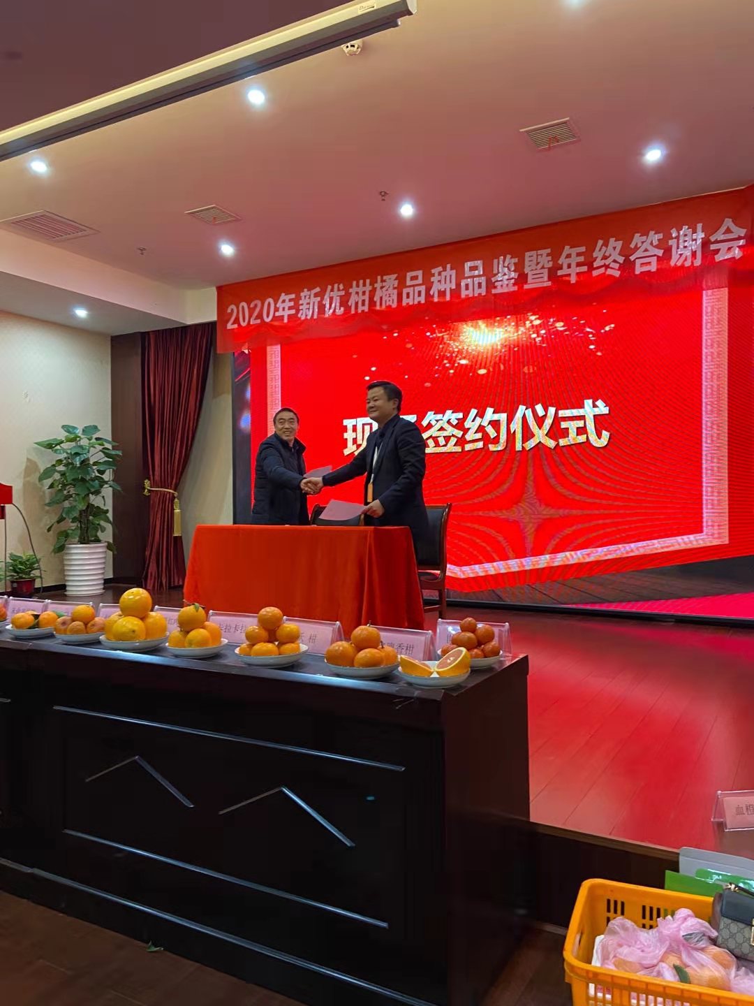 長沙市順世農林科技有限公司,湖(hú)南(nán)柑橘品種銷售,中國(guó)果樹(shù)網,常綠(lǜ)果樹(shù)類哪裡(lǐ)好(hǎo)