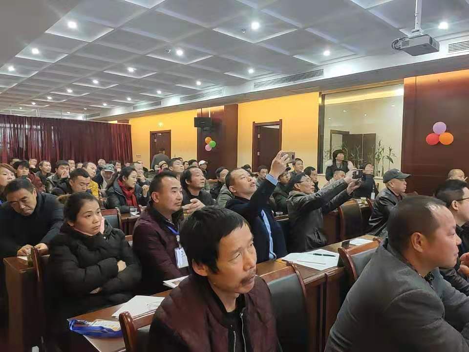 長沙市順世農林科技有限公司,湖(hú)南(nán)柑橘品種銷售,中國(guó)果樹(shù)網,常綠(lǜ)果樹(shù)類哪裡(lǐ)好(hǎo)