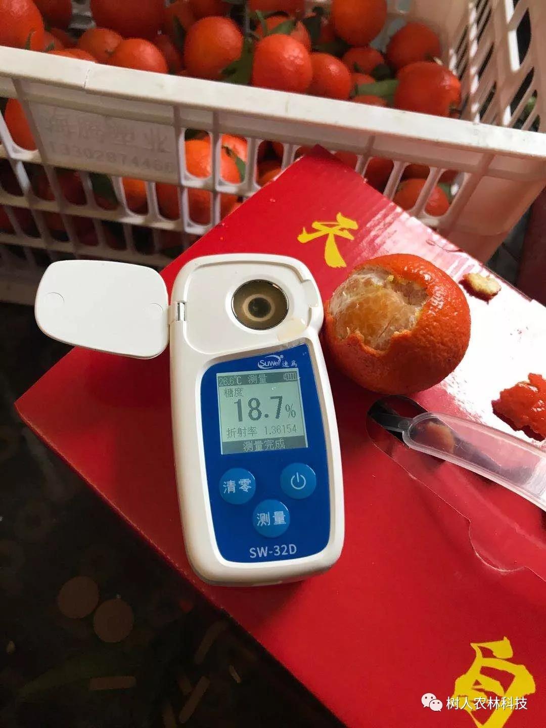 長沙市順世農林科技有限公司,湖(hú)南(nán)柑橘品種銷售,中國(guó)果樹(shù)網,常綠(lǜ)果樹(shù)類哪裡(lǐ)好(hǎo)