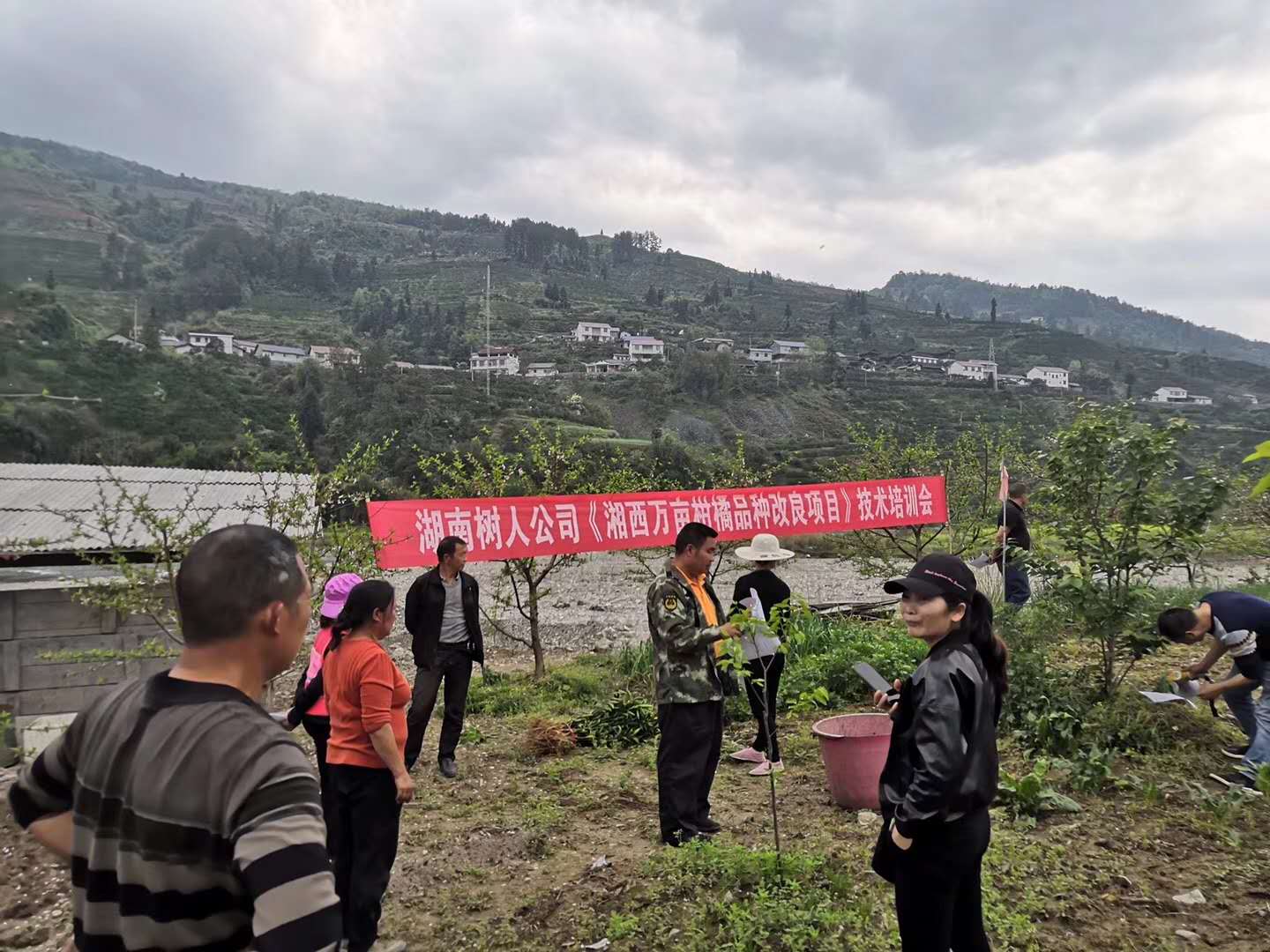 長沙市順世農林科技有限公司,湖(hú)南(nán)柑橘品種銷售,中國(guó)果樹(shù)網,常綠(lǜ)果樹(shù)類哪裡(lǐ)好(hǎo)