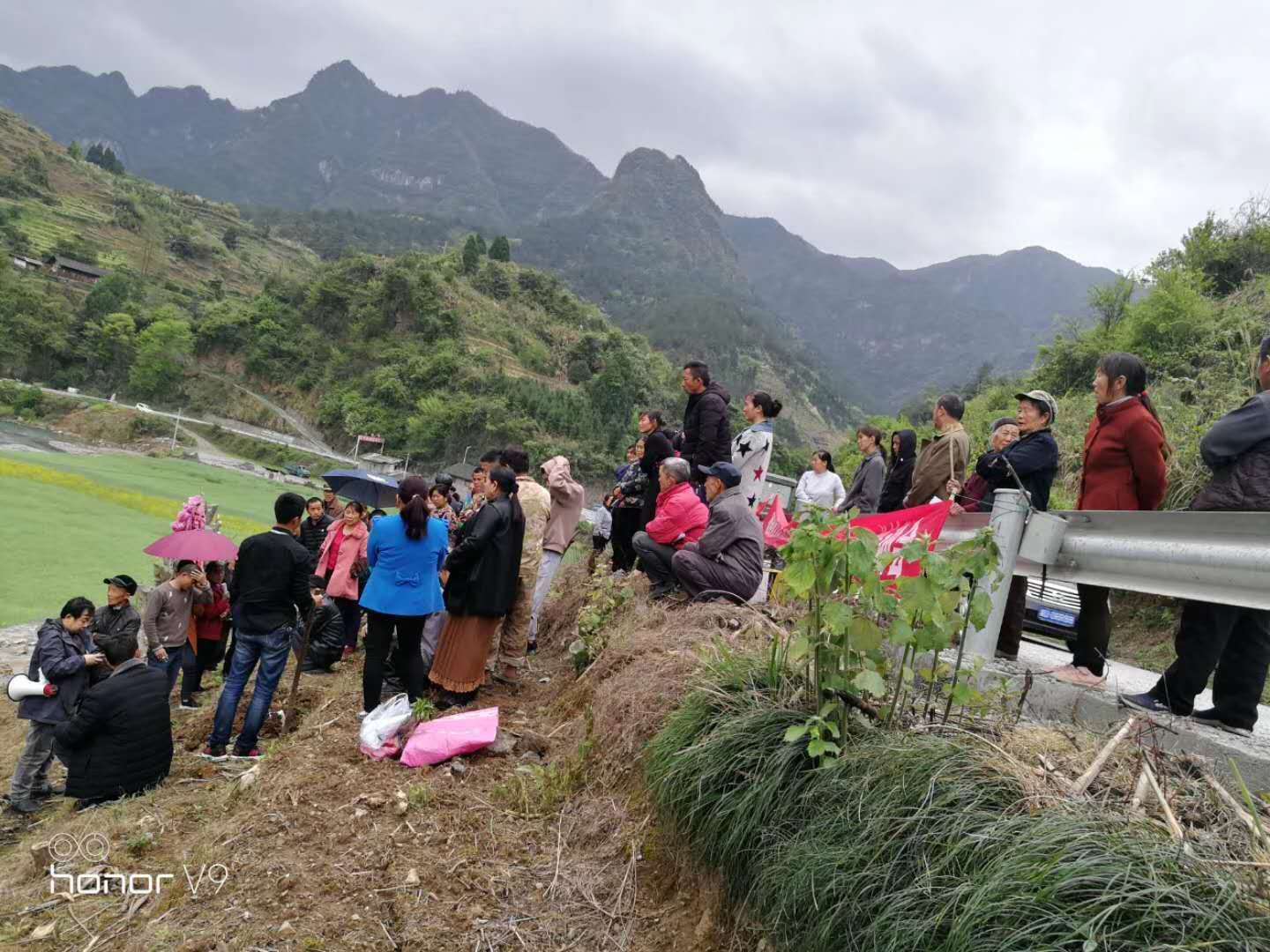 長沙市順世農林科技有限公司,湖(hú)南(nán)柑橘品種銷售,中國(guó)果樹(shù)網,常綠(lǜ)果樹(shù)類哪裡(lǐ)好(hǎo)