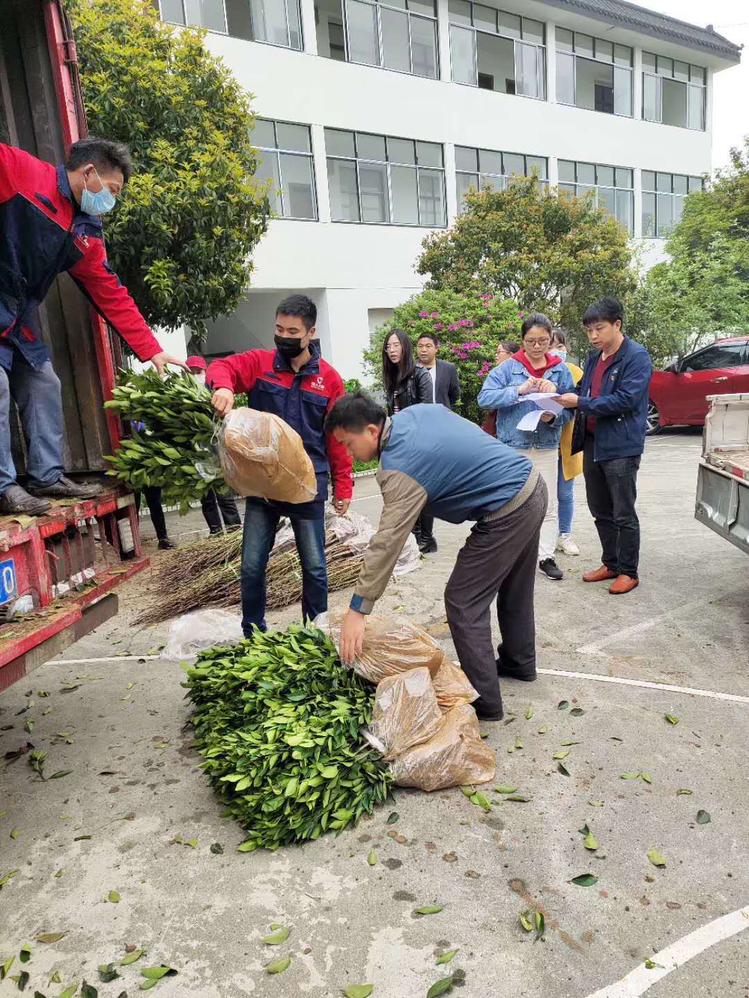 長沙市順世農林科技有限公司,湖(hú)南(nán)柑橘品種銷售,中國(guó)果樹(shù)網,常綠(lǜ)果樹(shù)類哪裡(lǐ)好(hǎo)