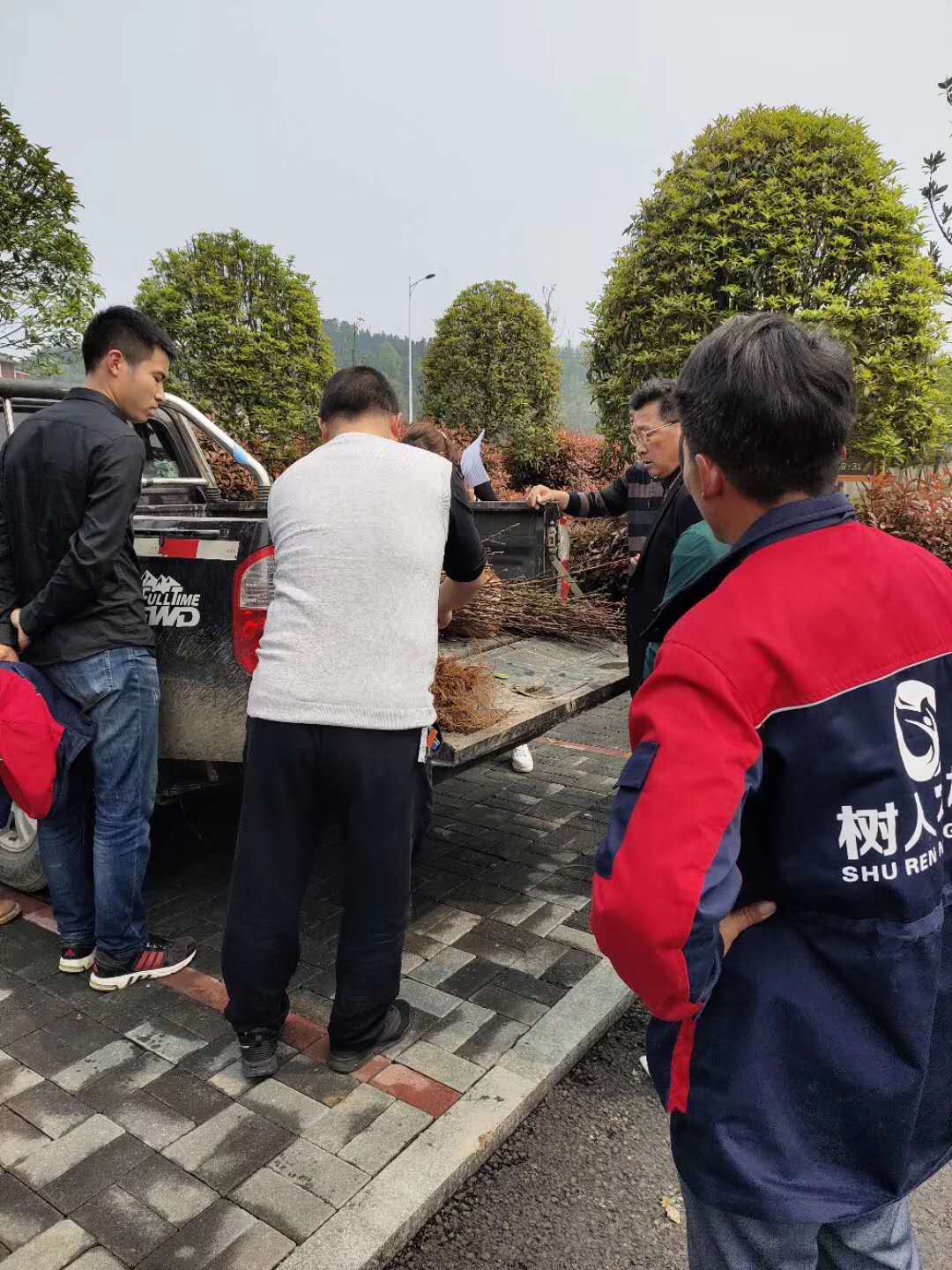長沙市順世農林科技有限公司,湖(hú)南(nán)柑橘品種銷售,中國(guó)果樹(shù)網,常綠(lǜ)果樹(shù)類哪裡(lǐ)好(hǎo)