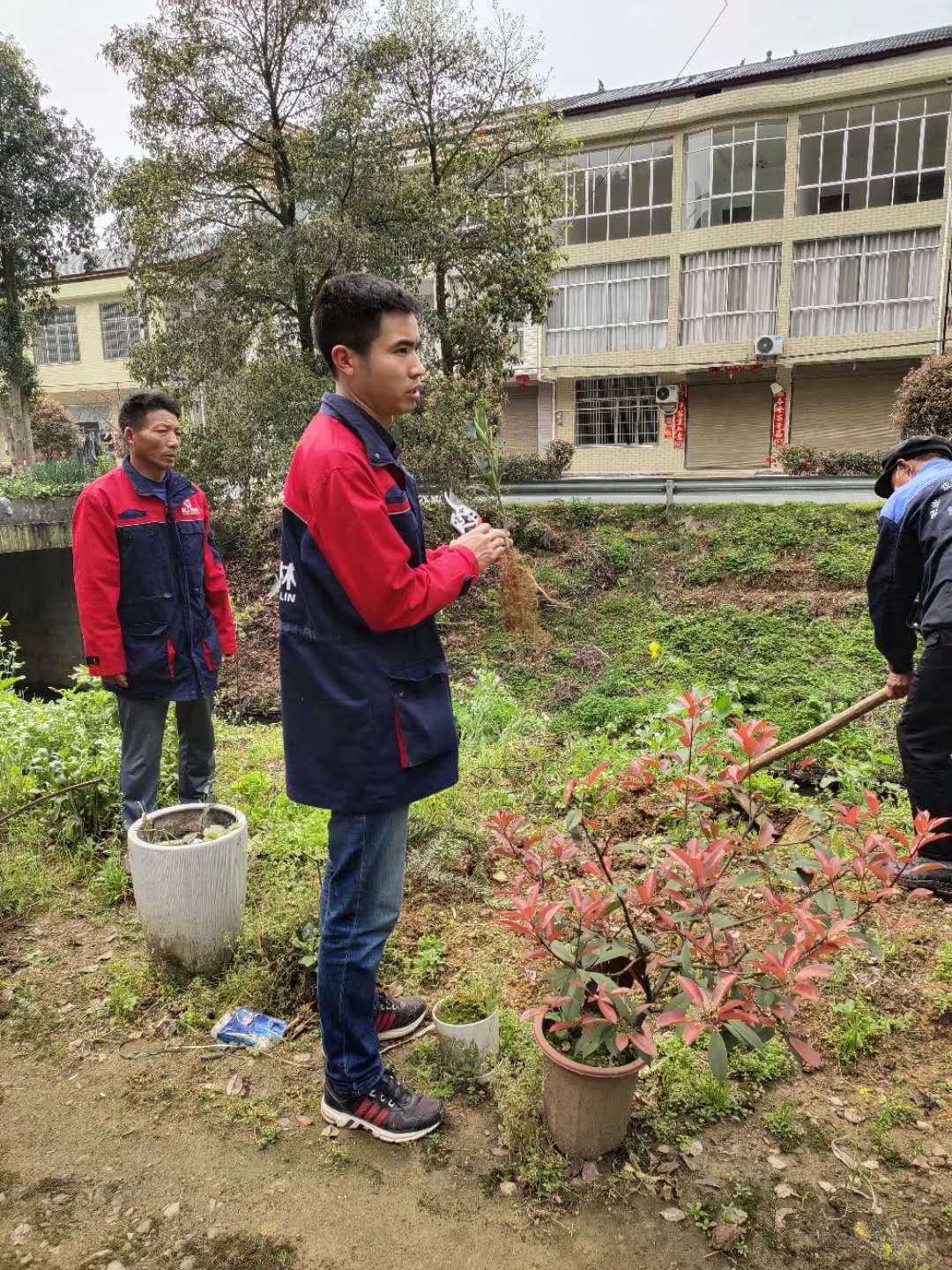長沙市順世農林科技有限公司,湖(hú)南(nán)柑橘品種銷售,中國(guó)果樹(shù)網,常綠(lǜ)果樹(shù)類哪裡(lǐ)好(hǎo)