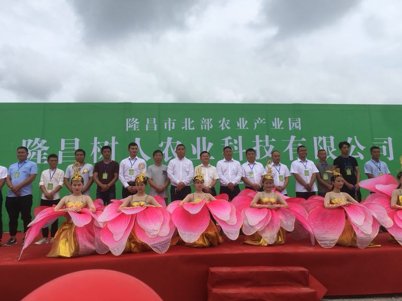 長沙市順世農林科技有限公司,湖(hú)南(nán)柑橘品種銷售,中國(guó)果樹(shù)網,常綠(lǜ)果樹(shù)類哪裡(lǐ)好(hǎo)