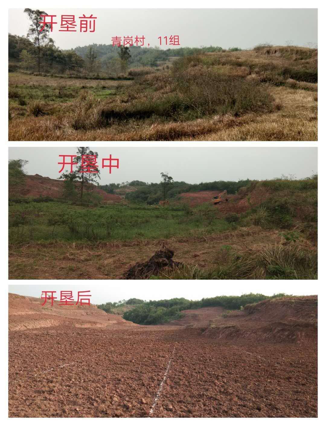 長沙市順世農林科技有限公司,湖(hú)南(nán)柑橘品種銷售,中國(guó)果樹(shù)網,常綠(lǜ)果樹(shù)類哪裡(lǐ)好(hǎo)