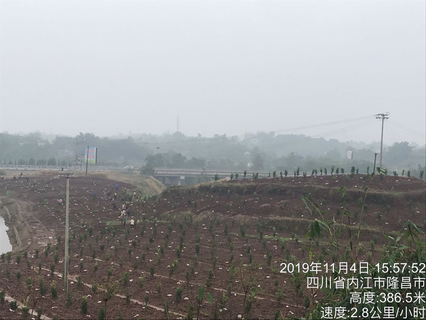 長沙市順世農林科技有限公司,湖(hú)南(nán)柑橘品種銷售,中國(guó)果樹(shù)網,常綠(lǜ)果樹(shù)類哪裡(lǐ)好(hǎo)