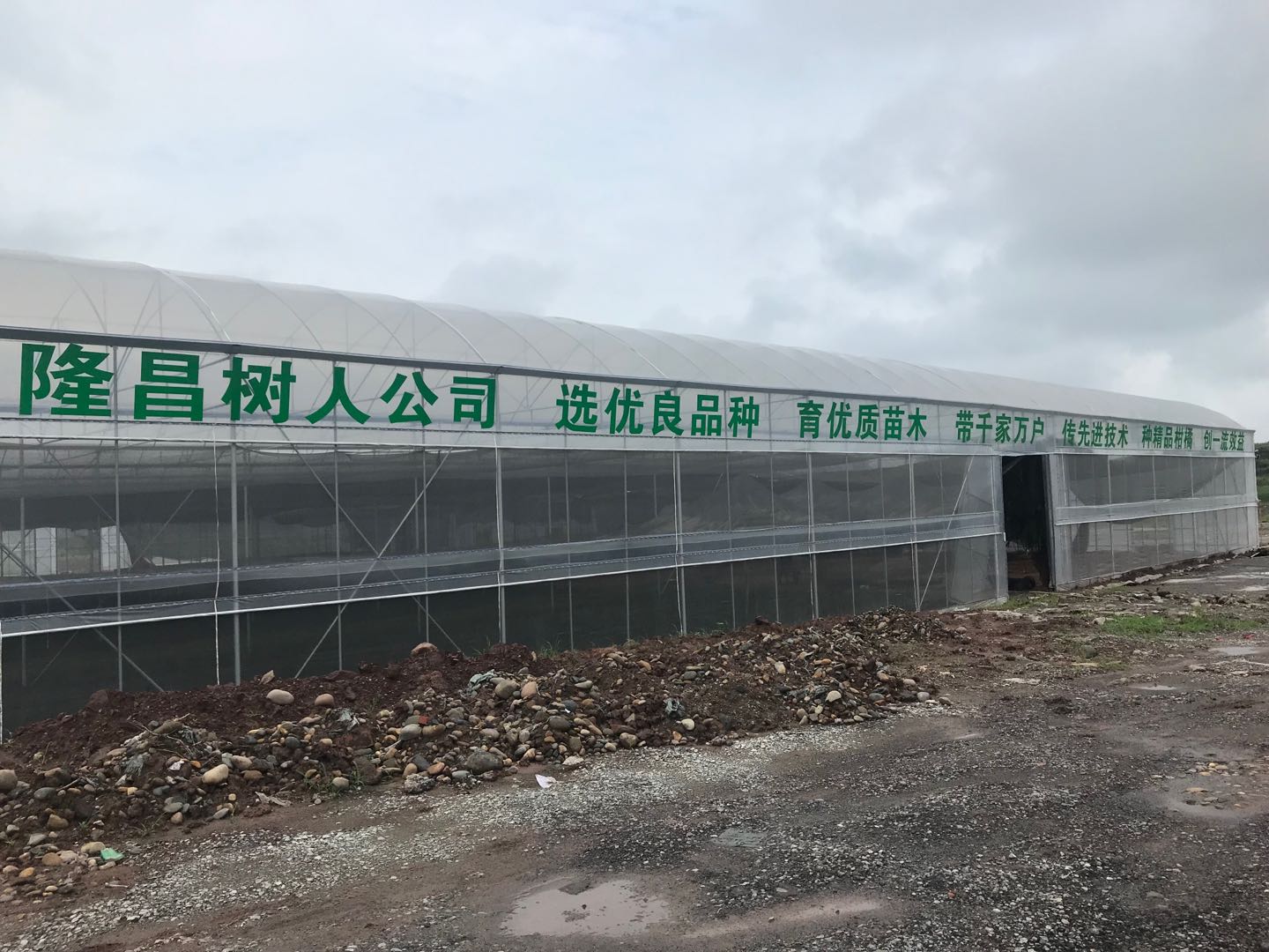 長沙市順世農林科技有限公司,湖(hú)南(nán)柑橘品種銷售,中國(guó)果樹(shù)網,常綠(lǜ)果樹(shù)類哪裡(lǐ)好(hǎo)