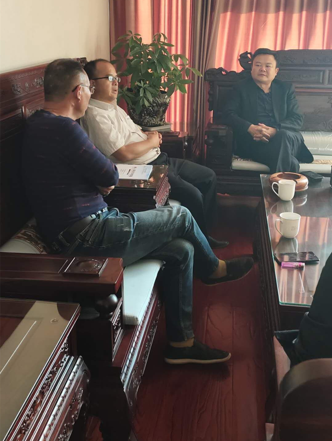 長沙市順世農林科技有限公司,湖(hú)南(nán)柑橘品種銷售,中國(guó)果樹(shù)網,常綠(lǜ)果樹(shù)類哪裡(lǐ)好(hǎo)
