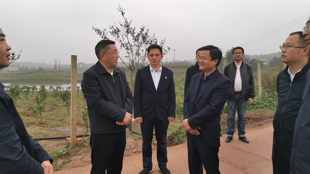 長沙市順世農林科技有限公司,湖(hú)南(nán)柑橘品種銷售,中國(guó)果樹(shù)網,常綠(lǜ)果樹(shù)類哪裡(lǐ)好(hǎo)
