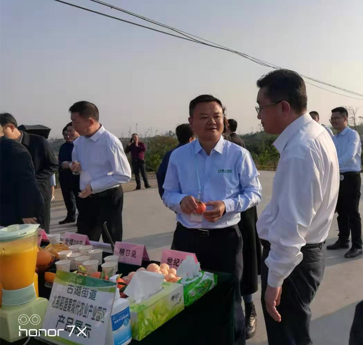 長沙市順世農林科技有限公司,湖(hú)南(nán)柑橘品種銷售,中國(guó)果樹(shù)網,常綠(lǜ)果樹(shù)類哪裡(lǐ)好(hǎo)