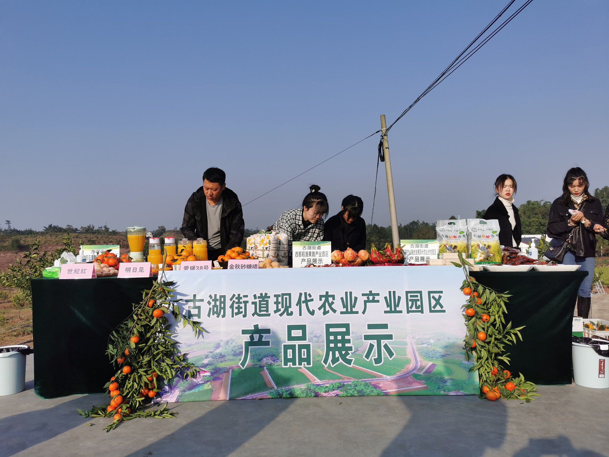 長沙市順世農林科技有限公司,湖(hú)南(nán)柑橘品種銷售,中國(guó)果樹(shù)網,常綠(lǜ)果樹(shù)類哪裡(lǐ)好(hǎo)