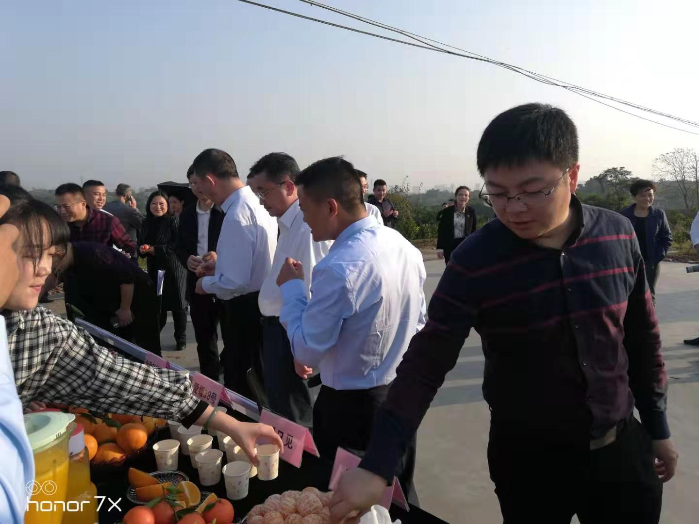 長沙市順世農林科技有限公司,湖(hú)南(nán)柑橘品種銷售,中國(guó)果樹(shù)網,常綠(lǜ)果樹(shù)類哪裡(lǐ)好(hǎo)