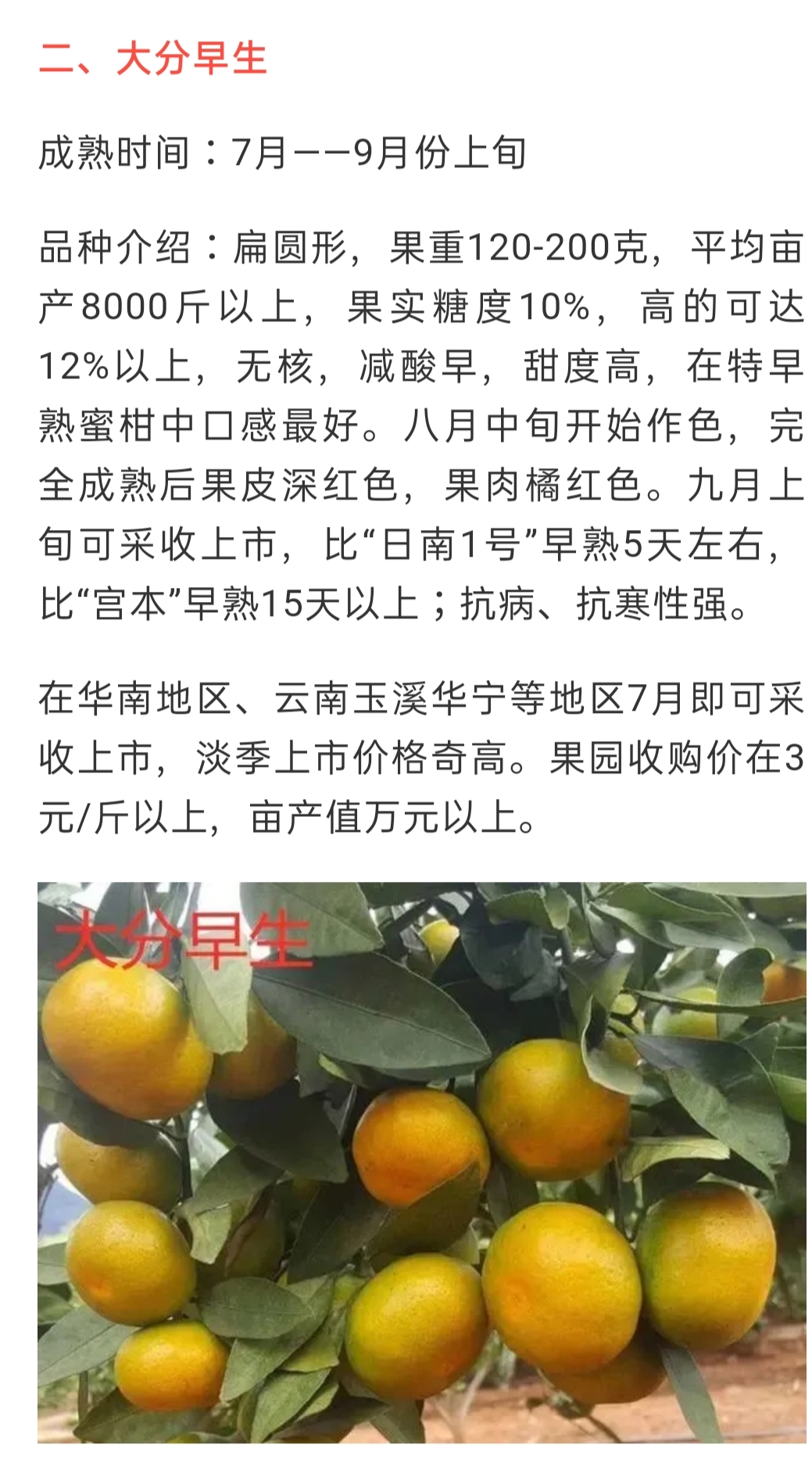 網站(zhàn)公告