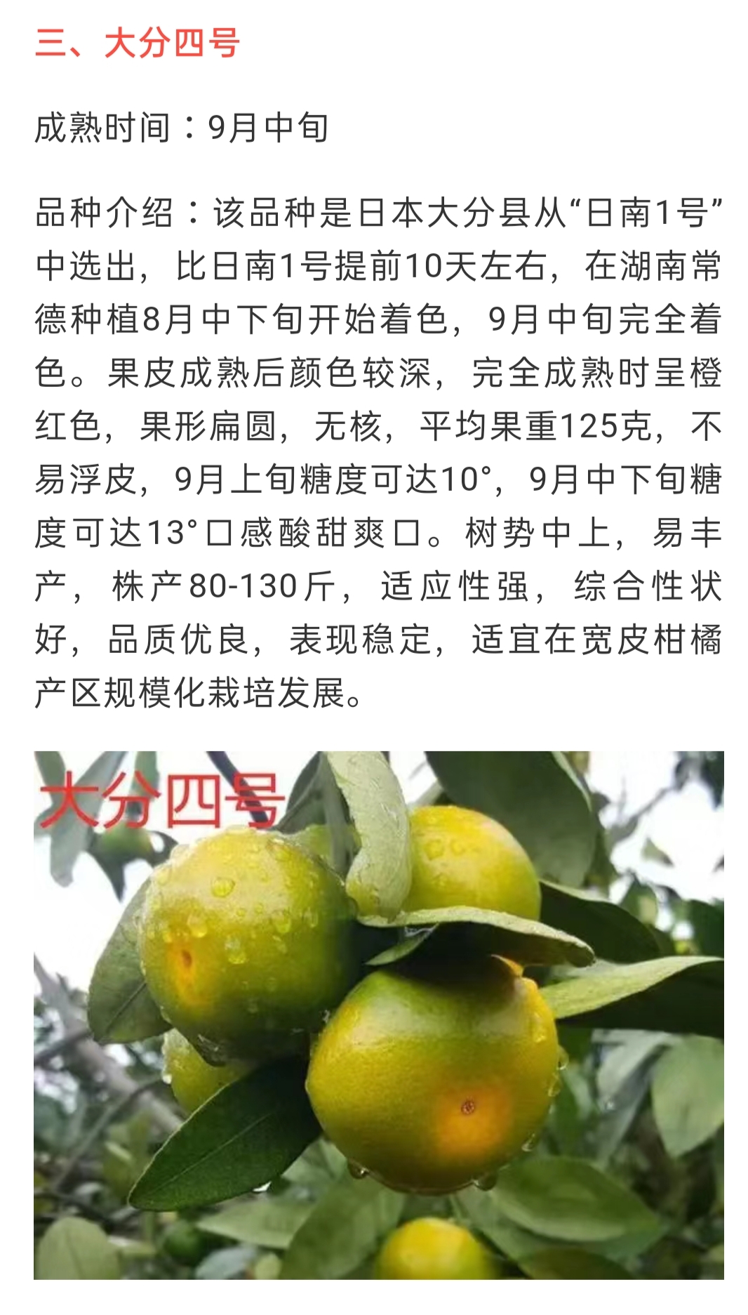 網站(zhàn)公告