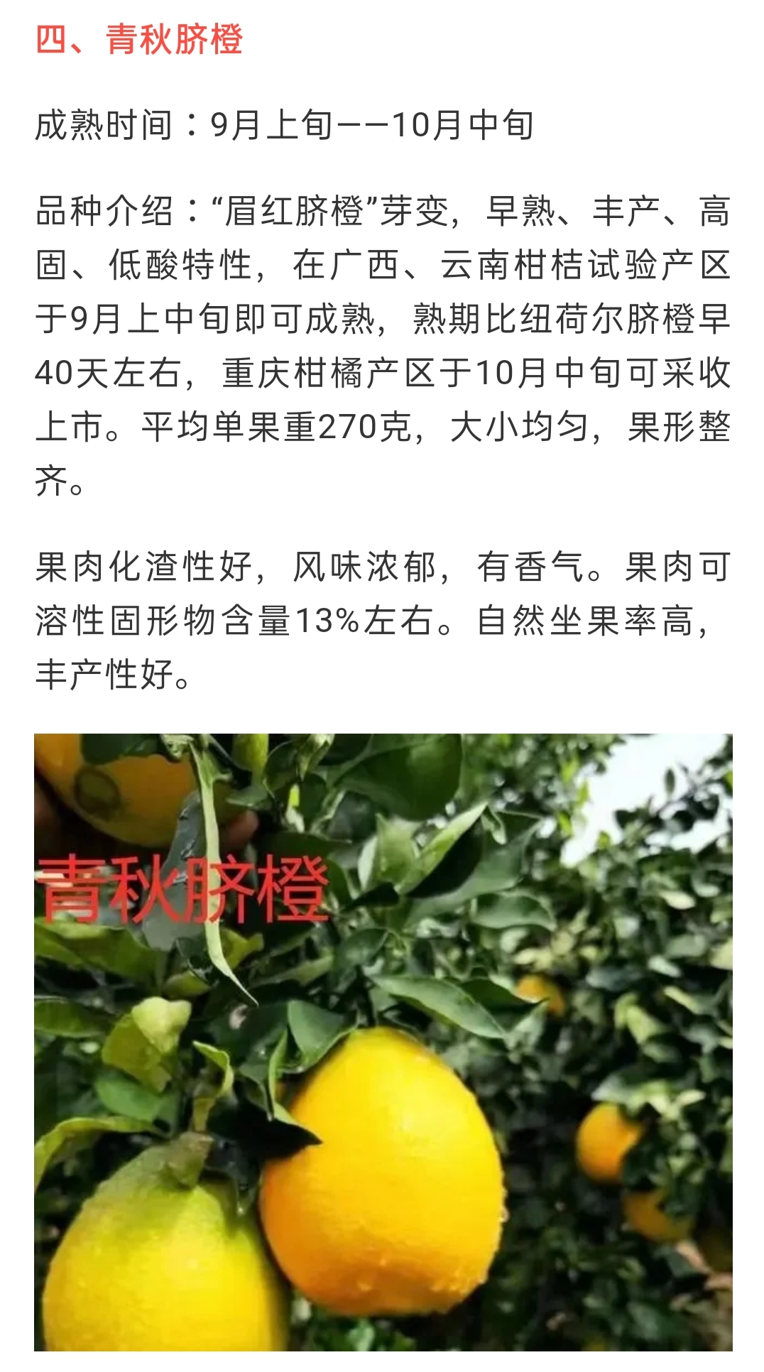 網站(zhàn)公告