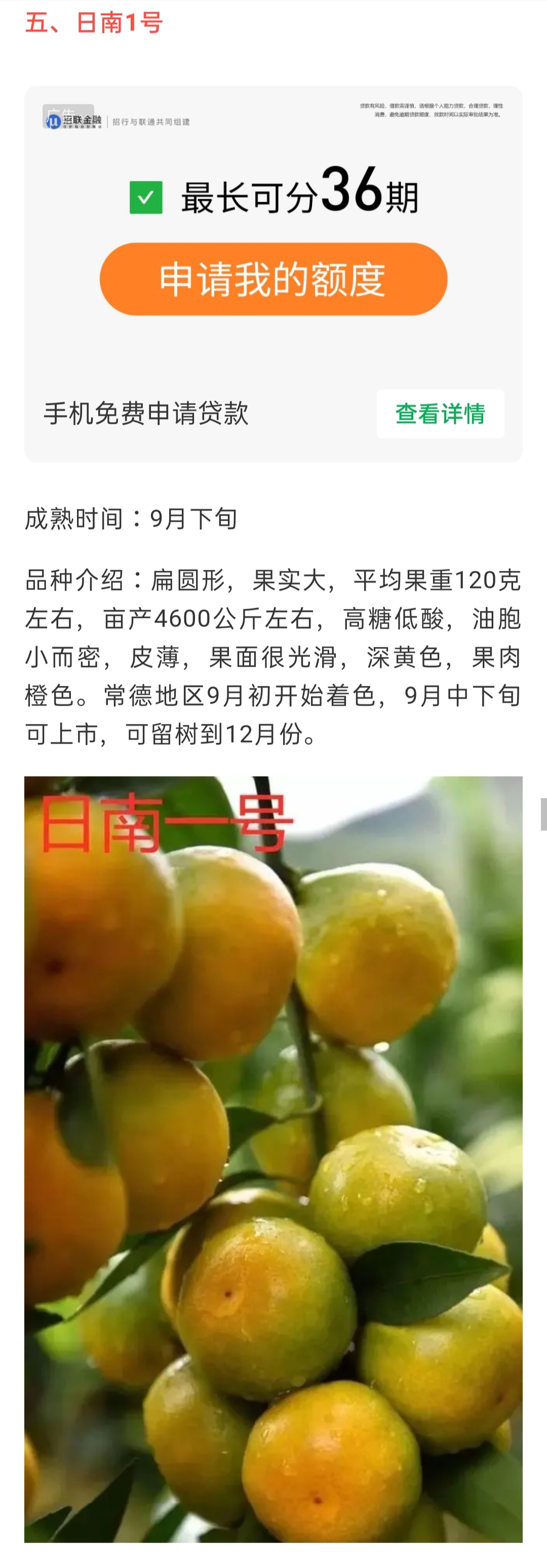 網站(zhàn)公告