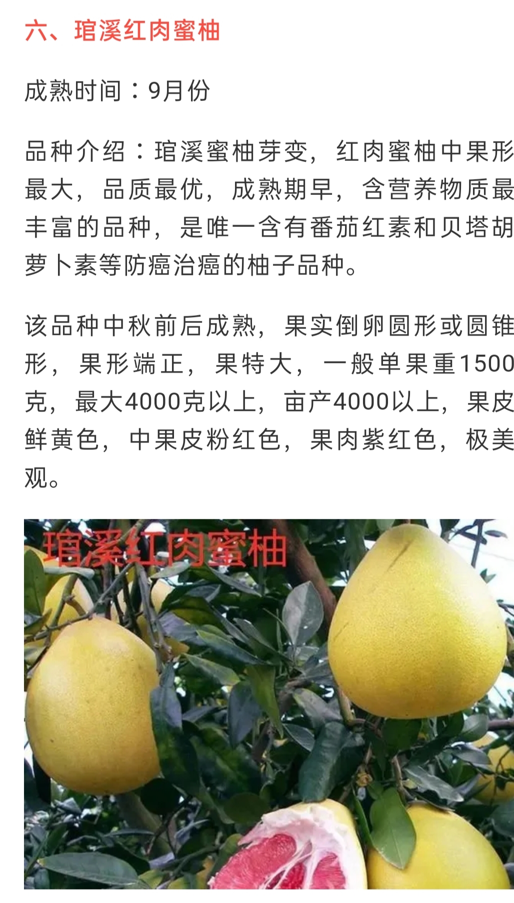 網站(zhàn)公告