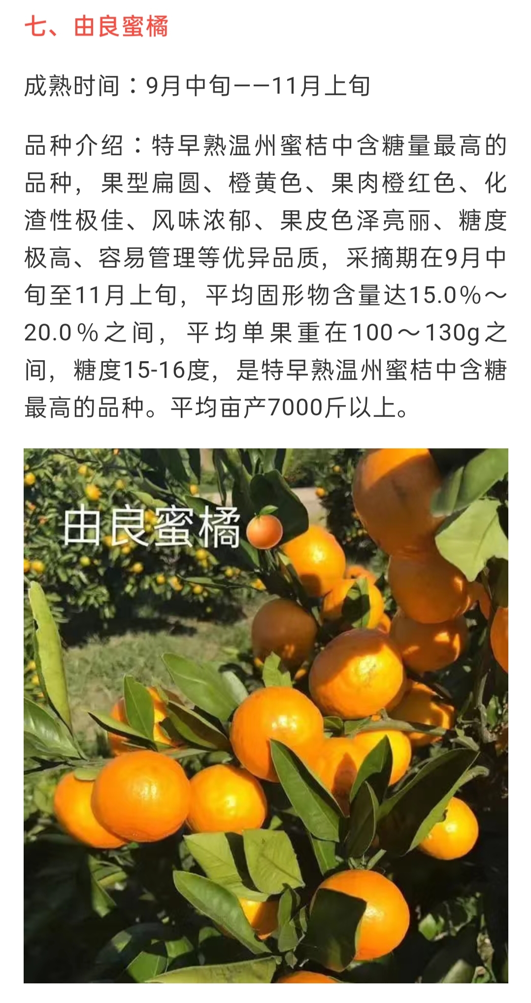網站(zhàn)公告