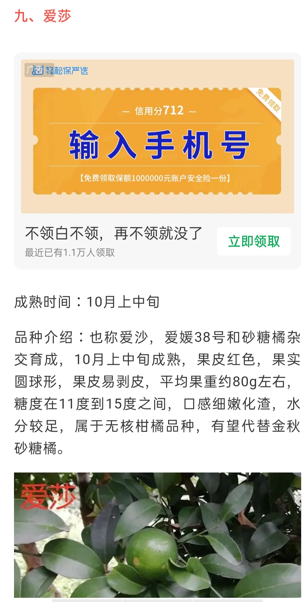 網站(zhàn)公告