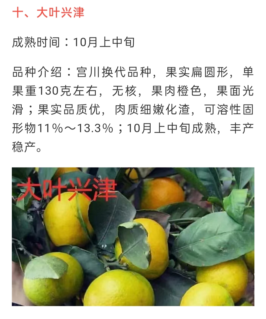 網站(zhàn)公告