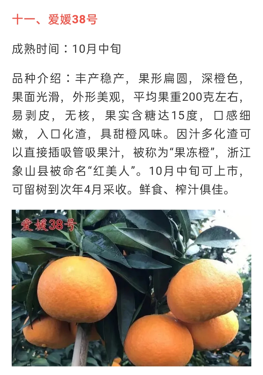 網站(zhàn)公告