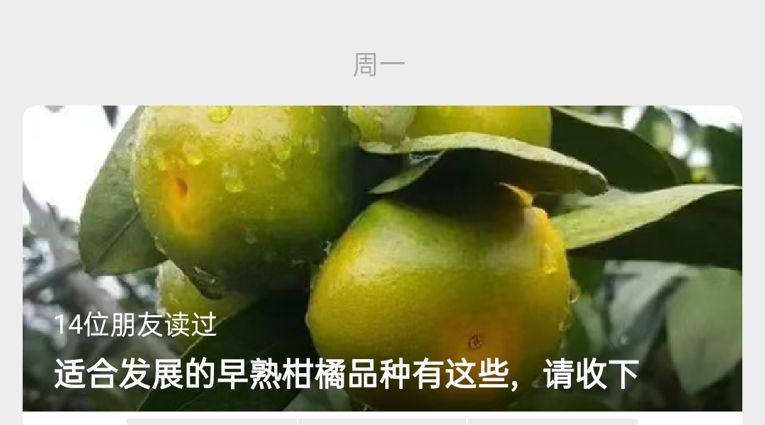 網站(zhàn)公告